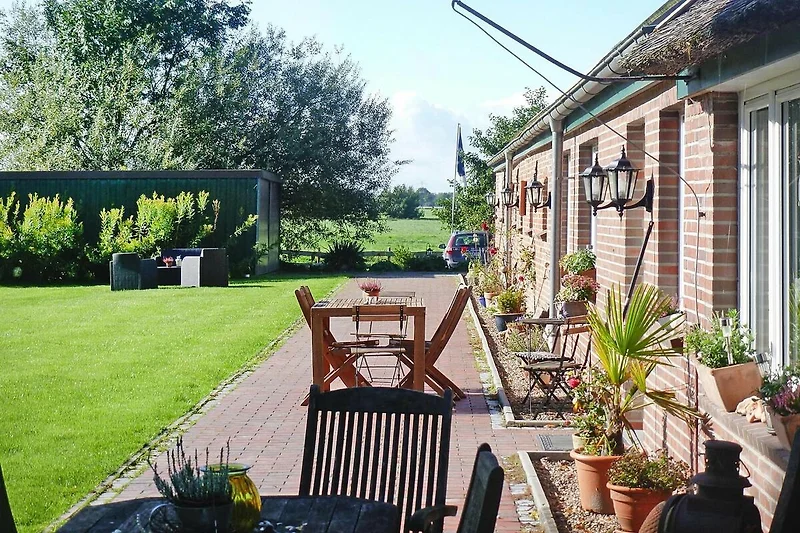 Exterieur vakantiehuis (zomer)