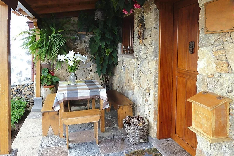 Terrasse / Balkon