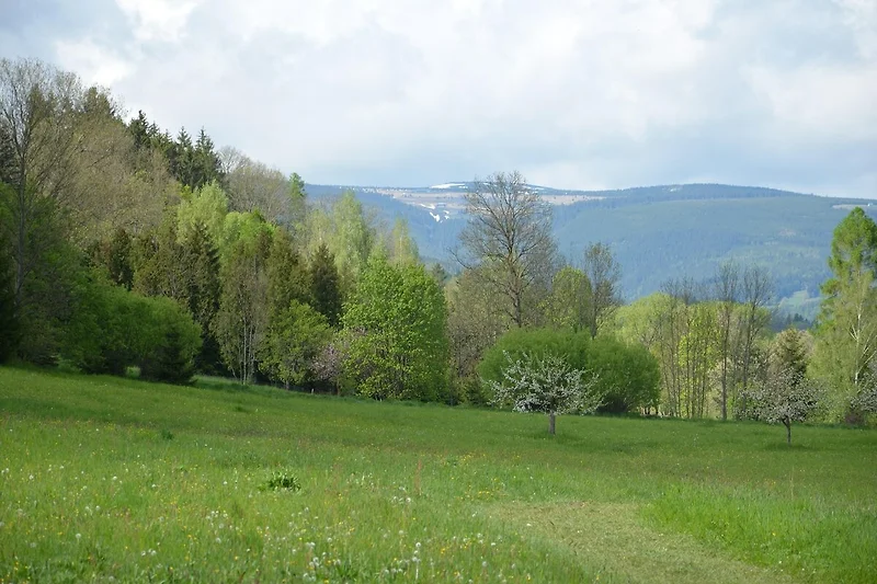 Aussicht vom Ferienhaus (Sommer)