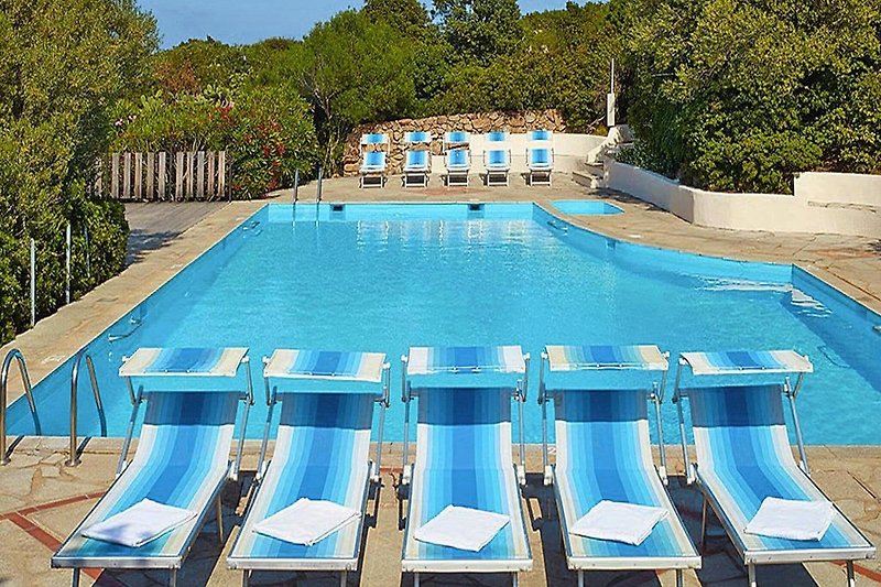Schwimmbad des Ferienhauses