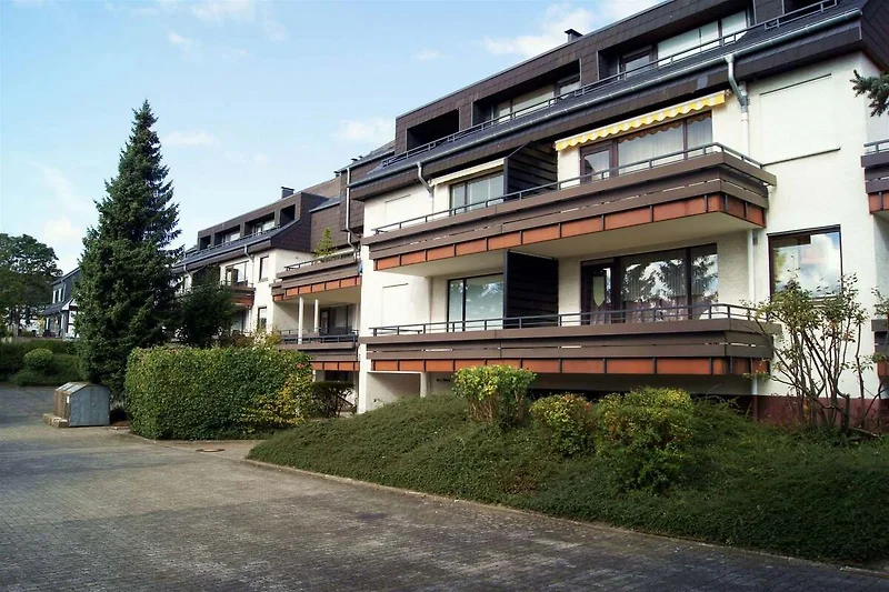 Außenseite Ferienhaus (Sommer)