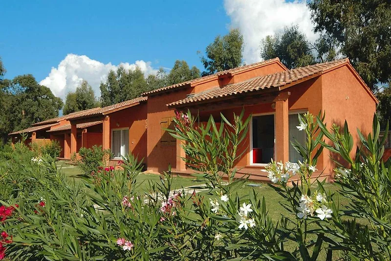 Außenseite Ferienhaus (Sommer)