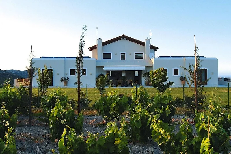 Esterno casa vacanze (estate)