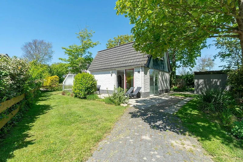 Garten (Sommer)