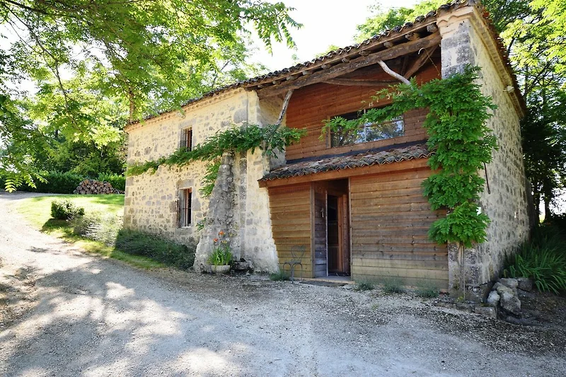 Außenseite Ferienhaus (Sommer)