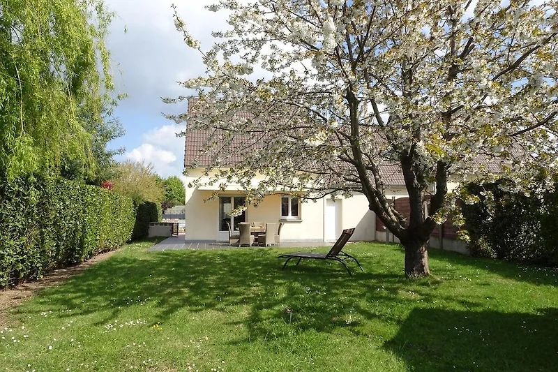 Garten (Sommer)