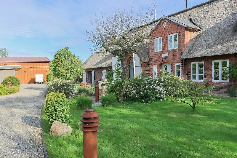Exterieur vakantiehuis (zomer)