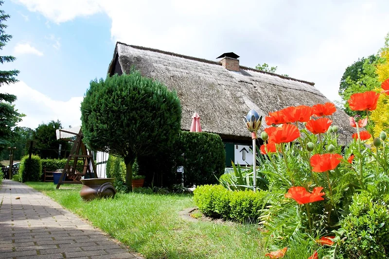 Außenseite Ferienhaus (Sommer)
