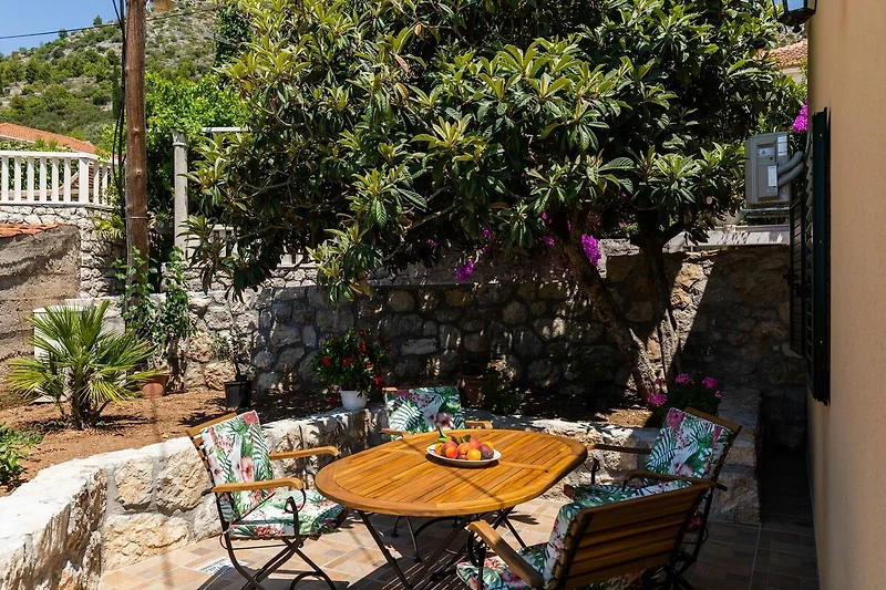 terras