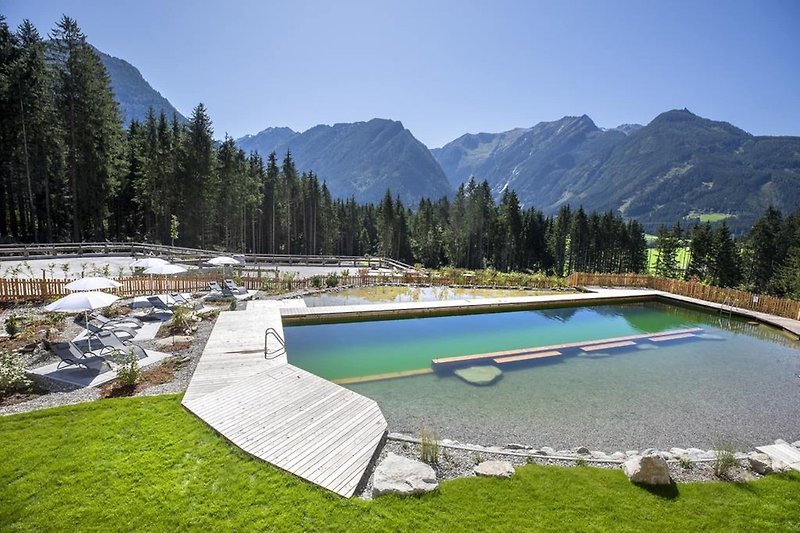 Schwimmbad des Ferienhauses