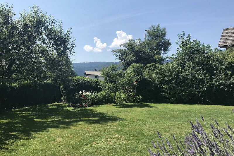 Garten (Sommer)