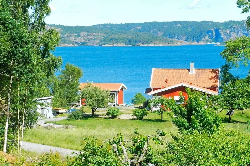 Esterno