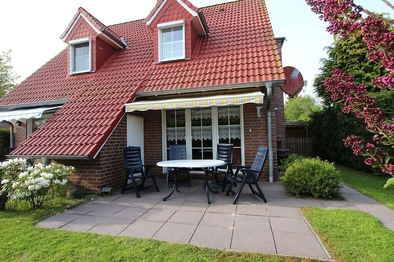 Esterno casa vacanze (estate)