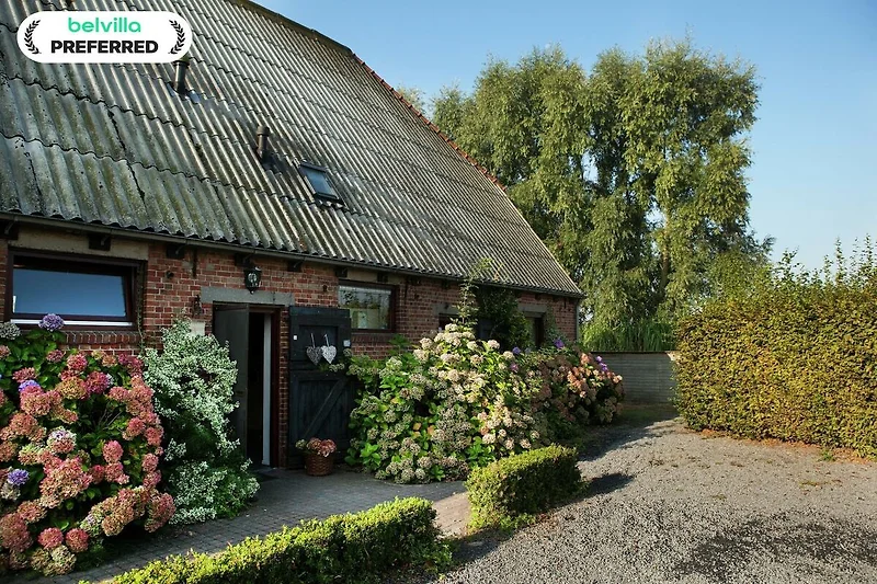 Außenseite Ferienhaus (Sommer) Außenseite Ferienhaus (Sommer)