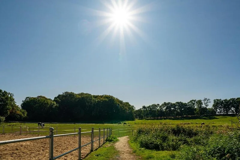 In der Region (Sommer) (>5 km)