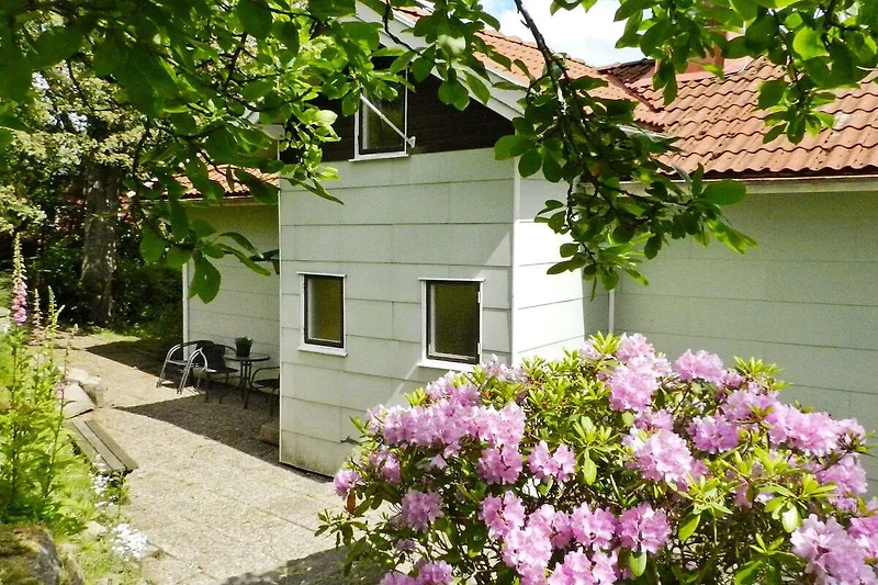 Außenseite
