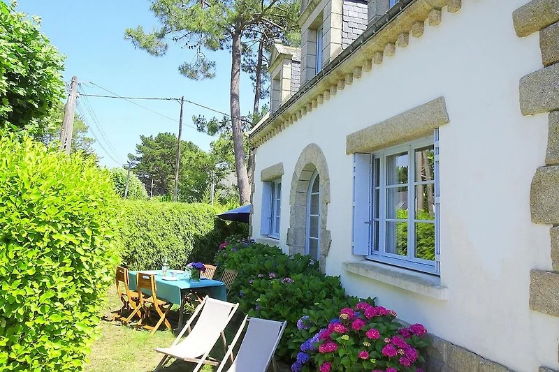 Außenseite Ferienhaus (Sommer)