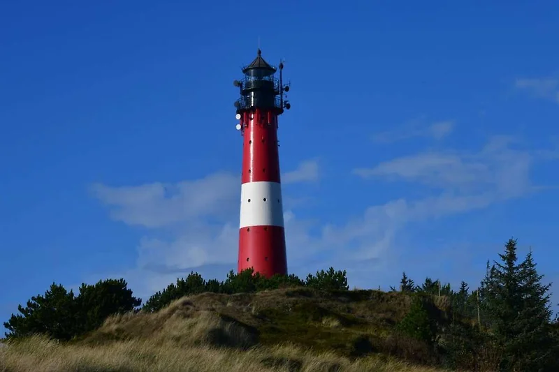 Directe omgeving (zomer) (<1 km)