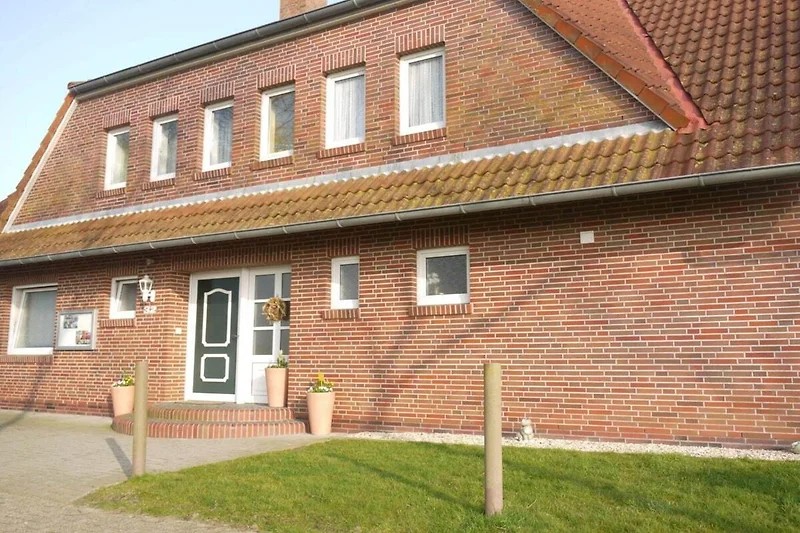 Außenseite Ferienhaus (Sommer)