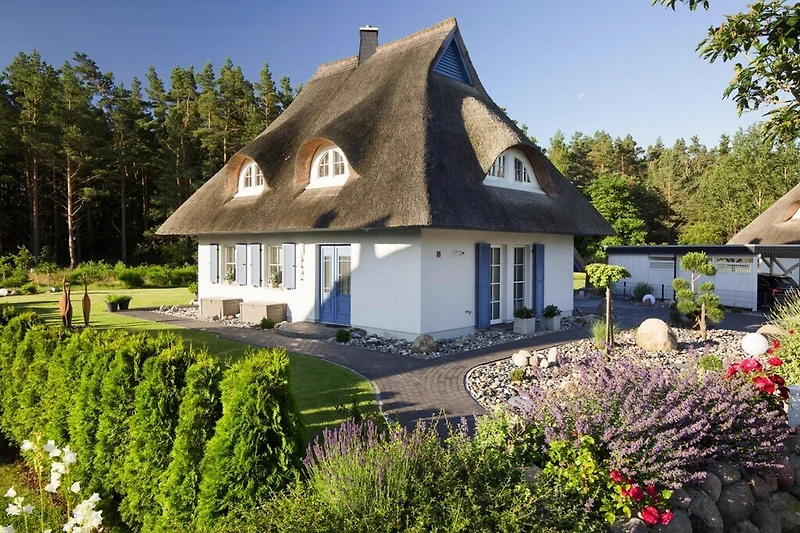 Außenseite Ferienhaus (Sommer)