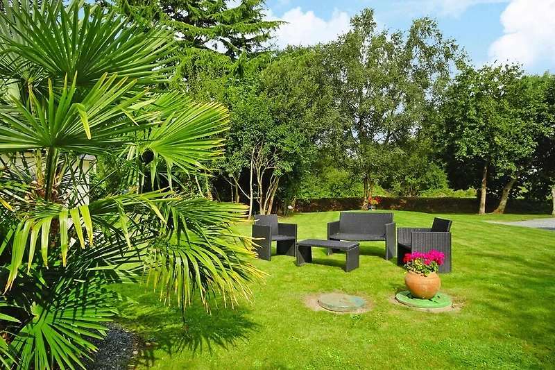 Garten (Sommer)