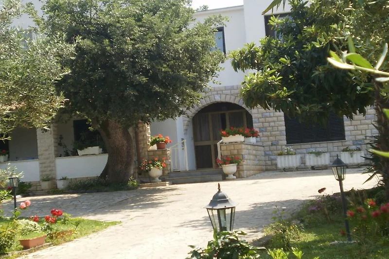 Außenseite Ferienhaus (Sommer)