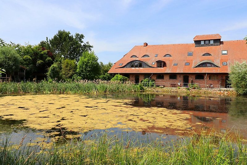 Außenseite Ferienhaus (Sommer)