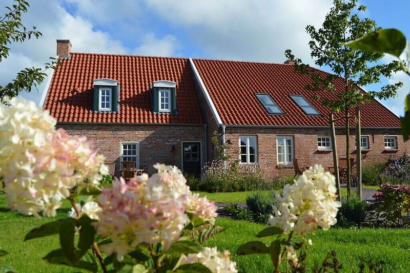 Außenseite Ferienhaus (Sommer)