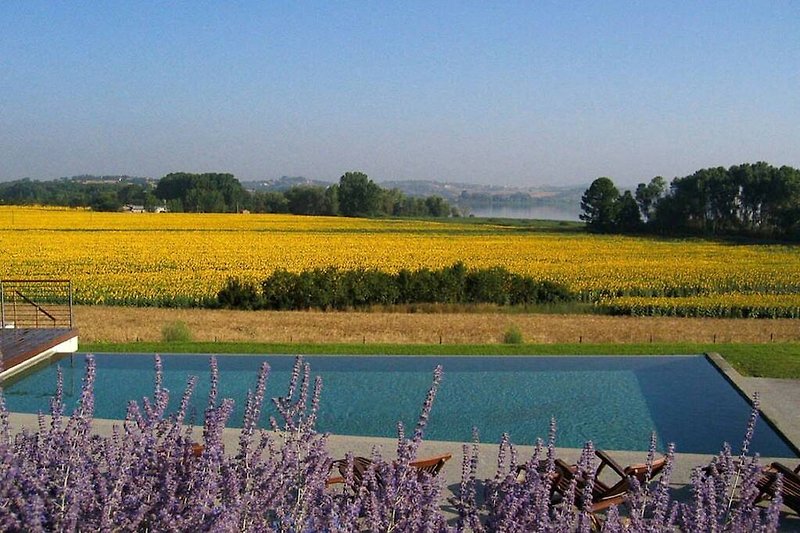 Schwimmbad des Ferienhauses