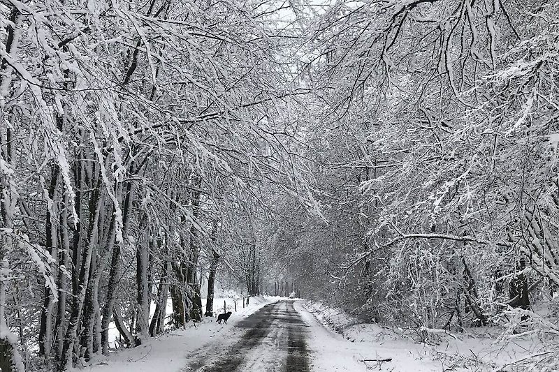 Direkte Umgebung (Winter) (<1 km)