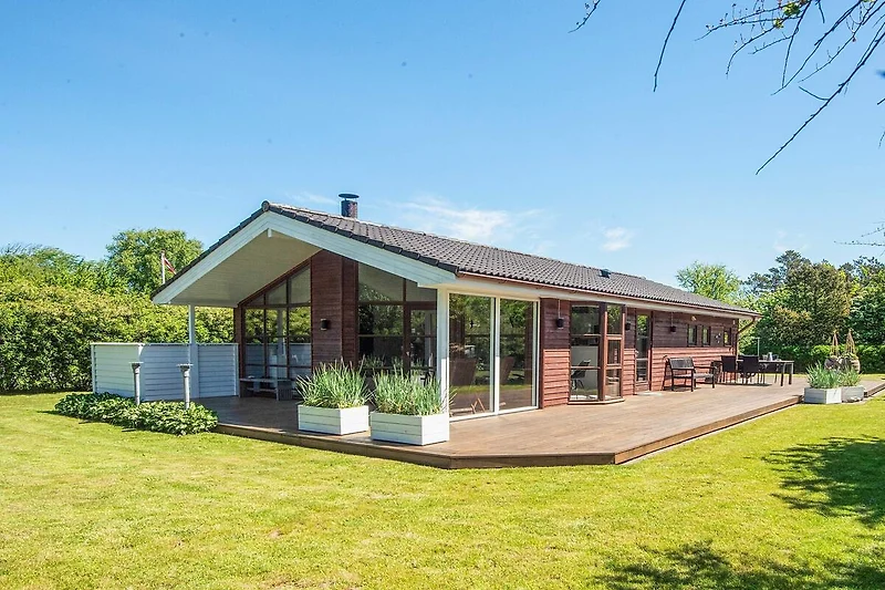 Vista
