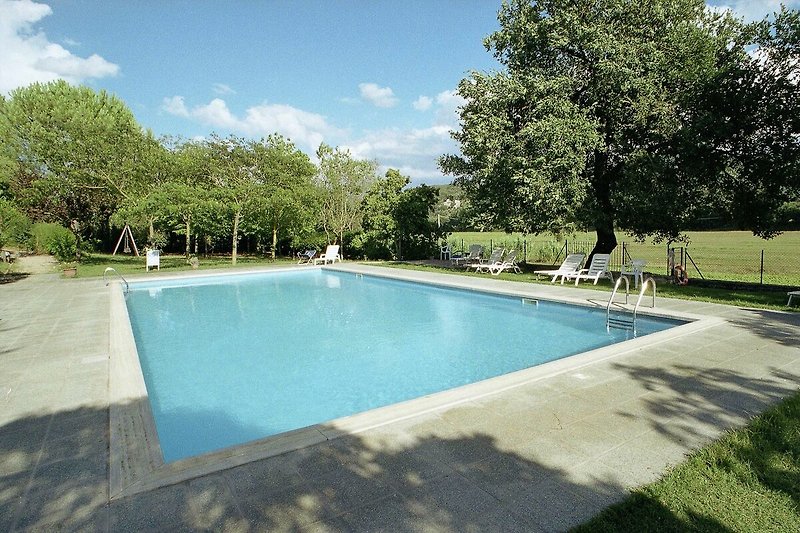 Holiday Home Swimming Pool