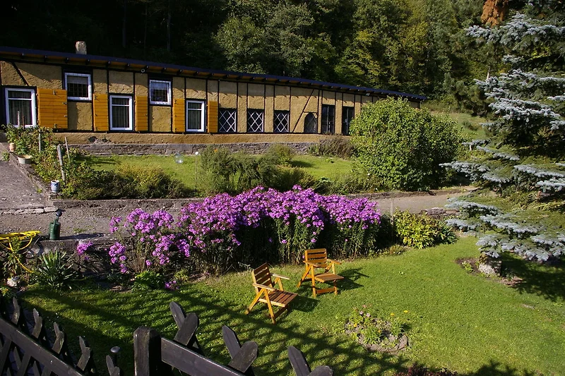 Esterno casa vacanze (estate)
