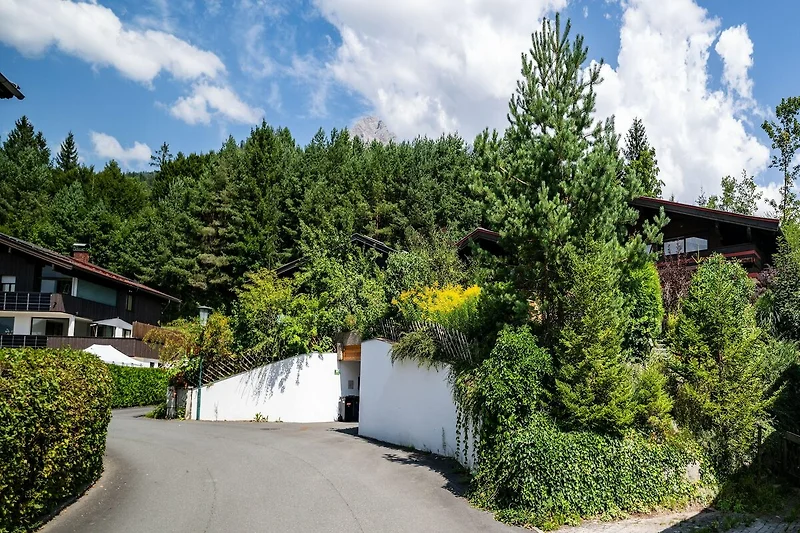 Außenseite Ferienhaus (Sommer)