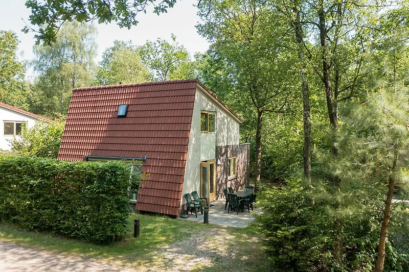 Esterno casa vacanze (estate)
