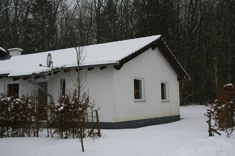 Exterior casa de vacaciones (invierno)