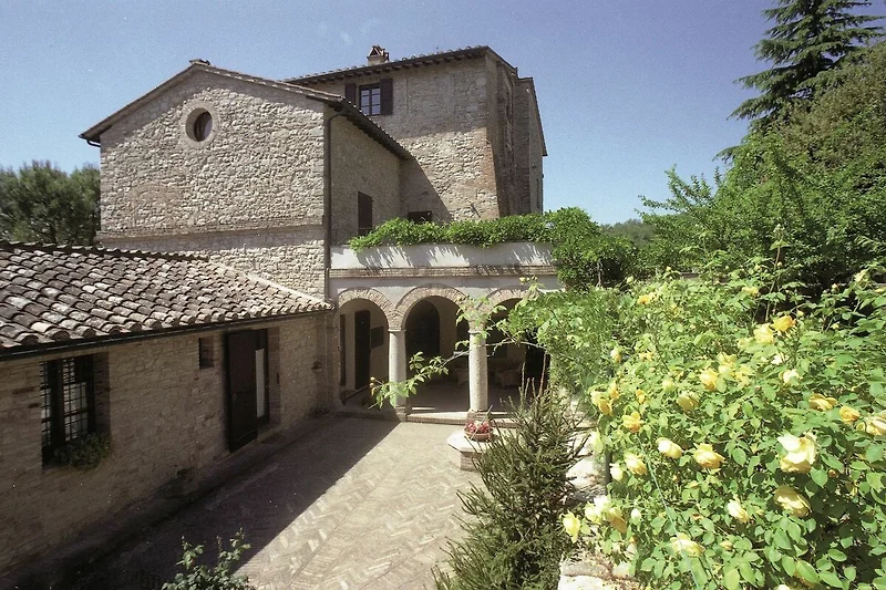 Außenseite Ferienhaus (Sommer)