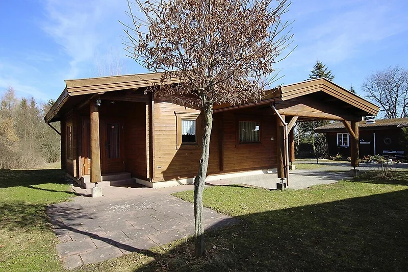 Außenseite Ferienhaus (Sommer)