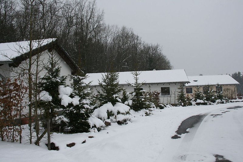 Vista casa de vacaciones (invierno)