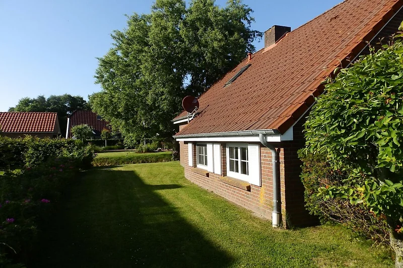 Esterno casa vacanze (estate)