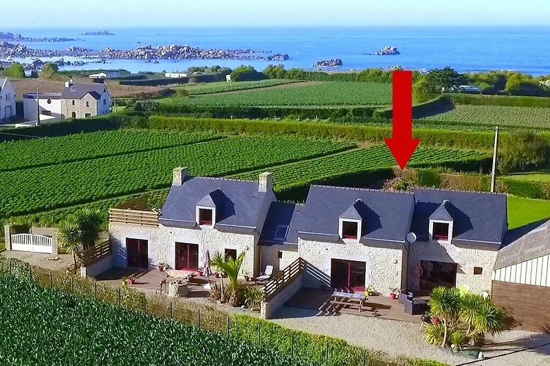 Außenseite Ferienhaus (Sommer)