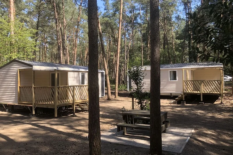 Exterieur vakantiehuis (zomer)