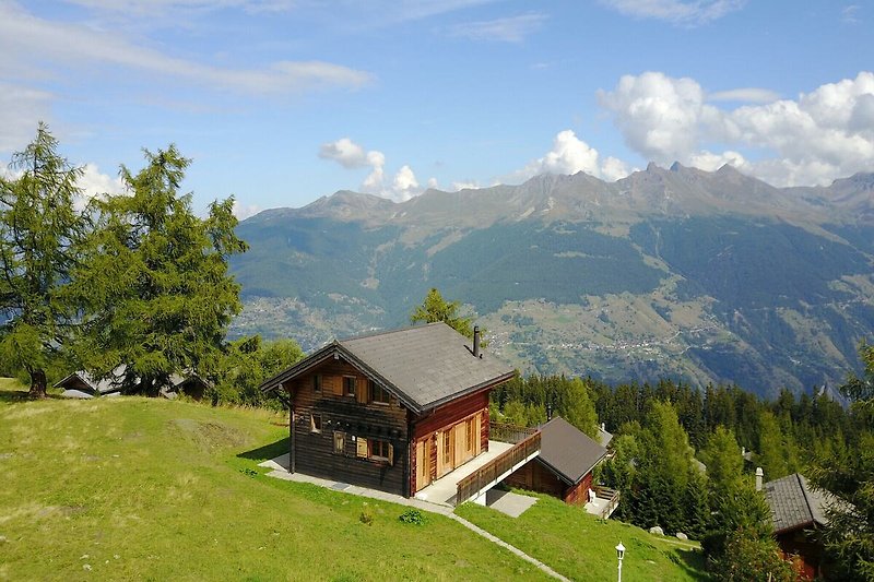 Außenseite Ferienhaus (Sommer)