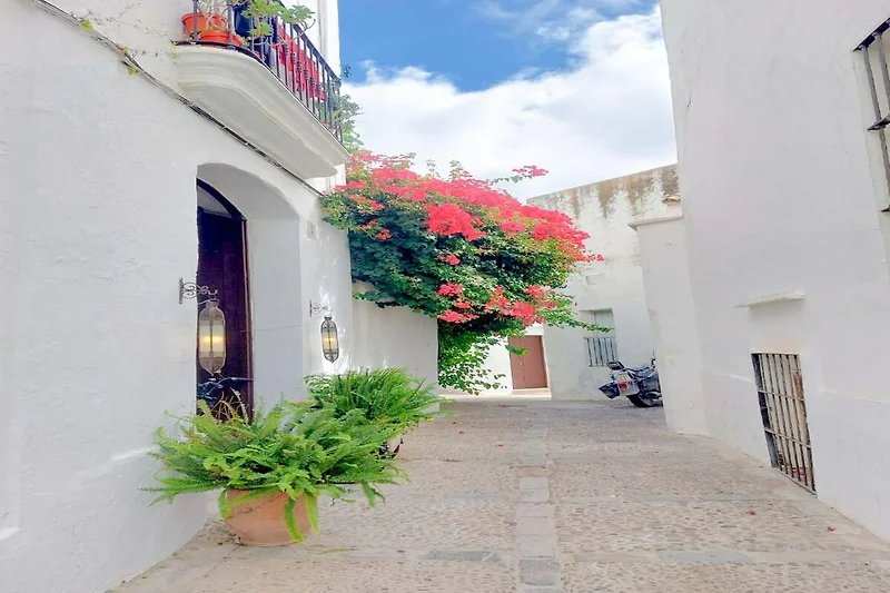 Außenseite Ferienhaus (Sommer)