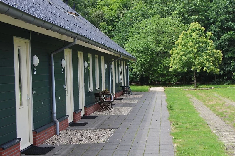 Exterieur vakantiehuis (zomer)