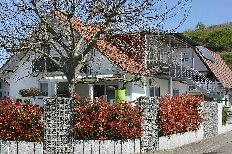 Exterieur vakantiehuis (zomer)