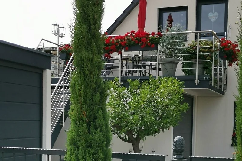 Außenseite Ferienhaus (Sommer)