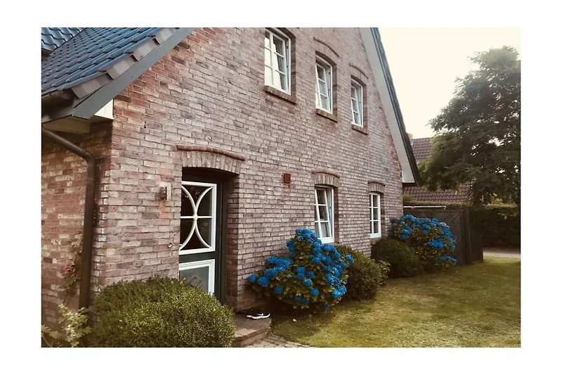 Exterior casa de vacaciones (verano)