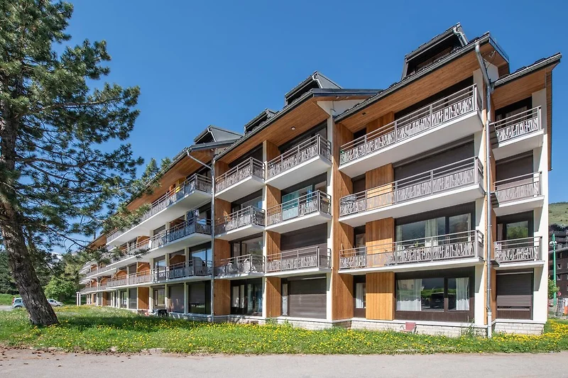 Außenseite Ferienhaus (Sommer)