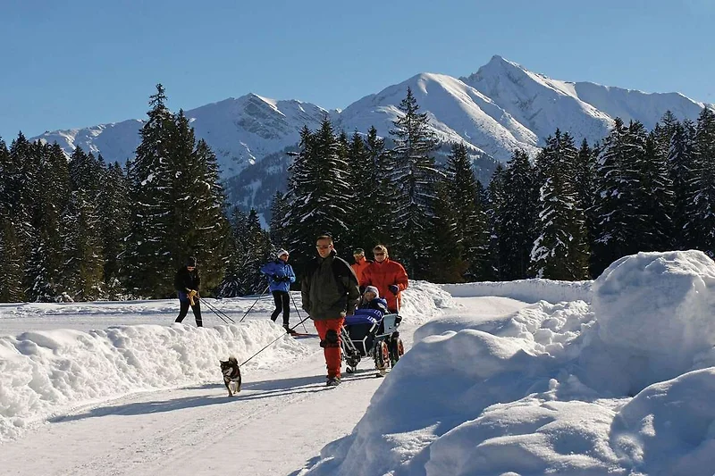 In de regio (winter) (>5 km)